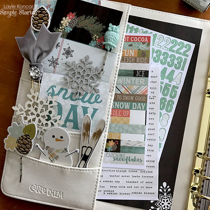 January in my Carpe Diem Planner