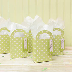 American Crafts DIY Party Gift Bag Treat Boxes