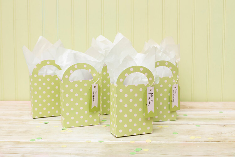 American Crafts DIY Party Gift Bag Treat Boxes