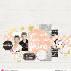 You Were Ment to Shine by Pink Paislee DT Member:  Amanda Wall
