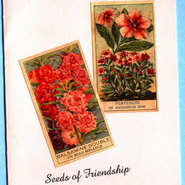 seeds of friendship