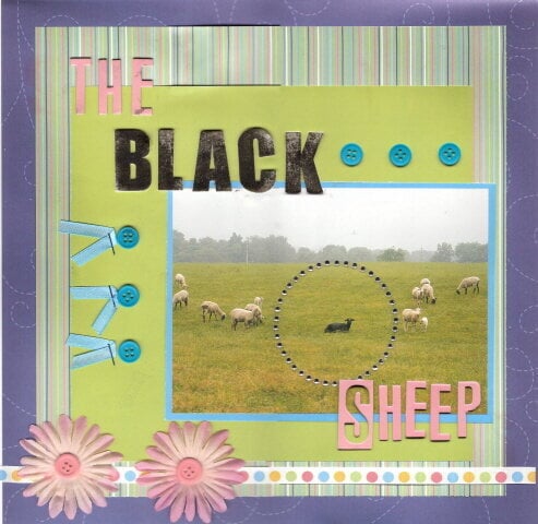 The Black Sheep