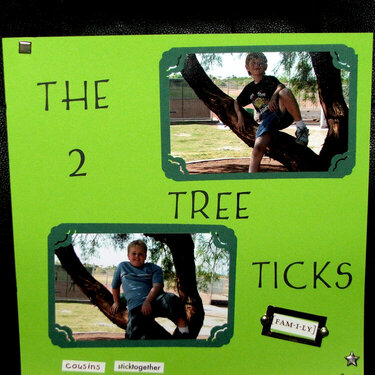 Tree Ticks