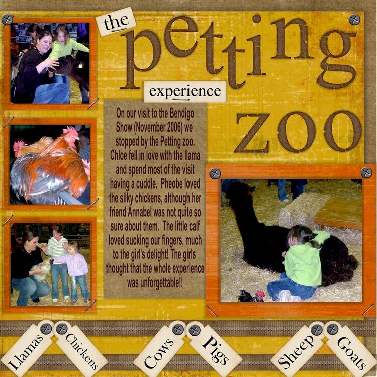 The Petting Zoo Experience