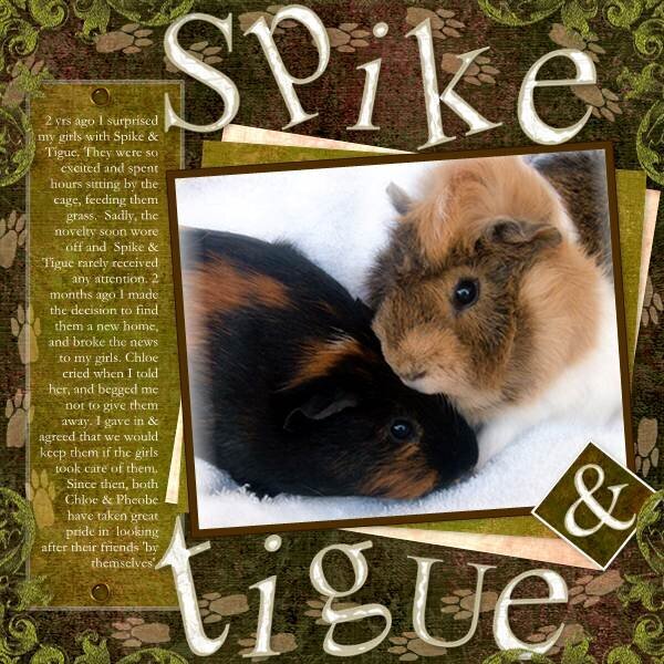 Spike &amp; Tigue