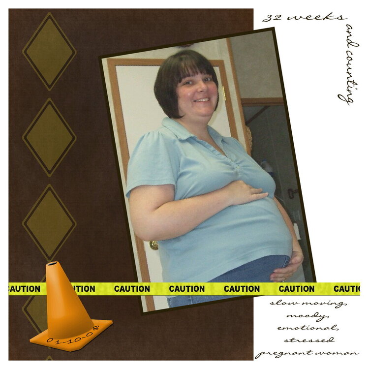 Caution Pregnant Woman