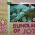 Bundles of Joy