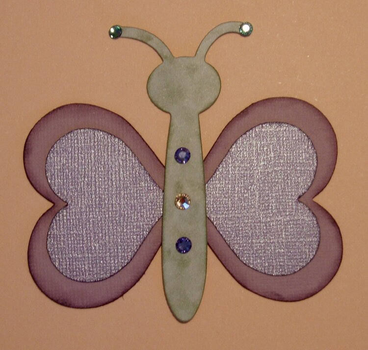 Butterfly, Group 8