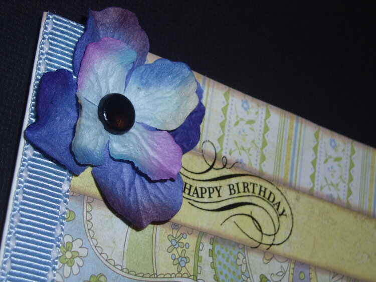 close up of flower, Birthday Card~1