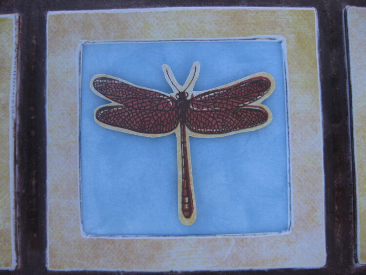 Dragonfly stamped image, up close