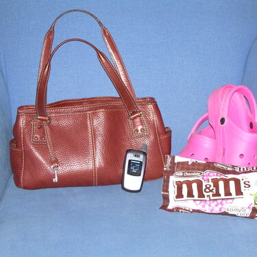 Purse, Phone, Fave color and Fav Snack