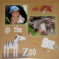 @ the zoo