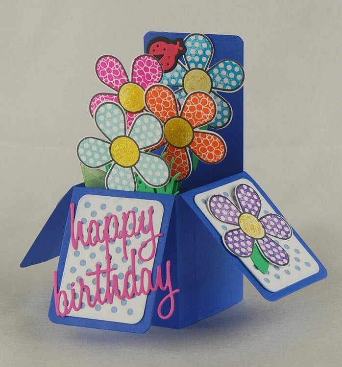 Box Die Birthday Card view 2