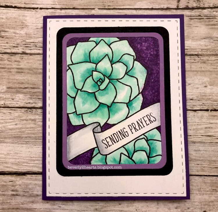 Succulent Card #2