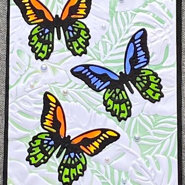 Detailed Butterfly Card