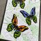 Detailed Butterfly Card pg 2