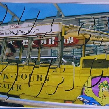 Boston Duck Tour