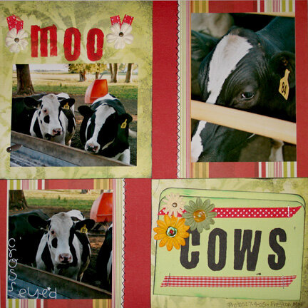 Moo cows