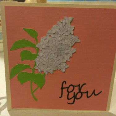 for you- boxed book card