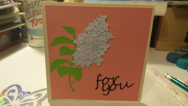 for you- boxed book card