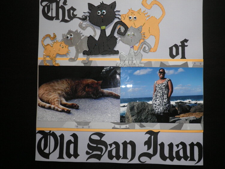 The Cats of Old san Juan