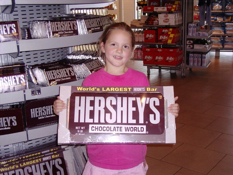 Adrianna&#039;s chocolate dream