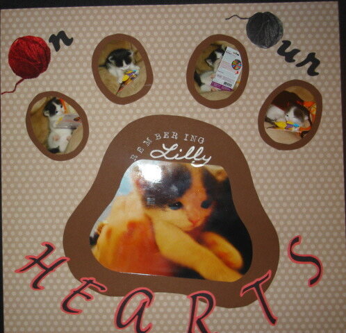 Paw prints on our hearts _ 2