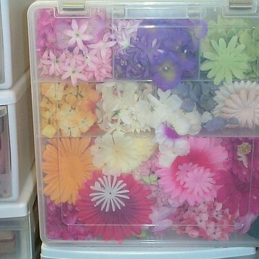 My flower storage