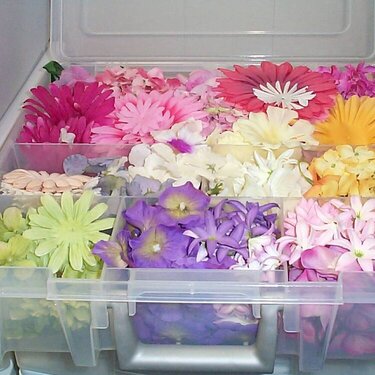 My flower storage