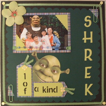 Shrek 1 of a kind