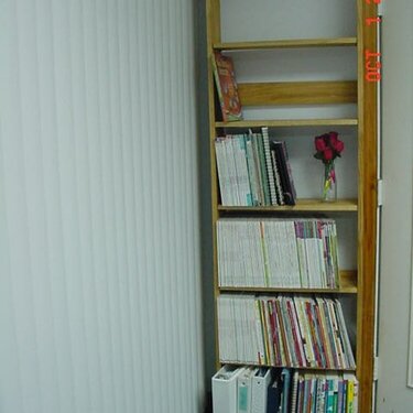 Magazine and book shelves