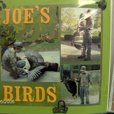 Joe&#039;s Birds