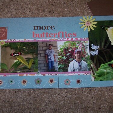 More Butterflies (2-page layout)
