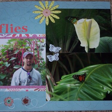 More Butterflies, page 2