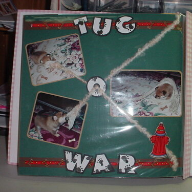 Scrumpy Tug-O-War