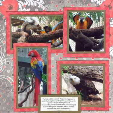 Busch Gardens (page 2)