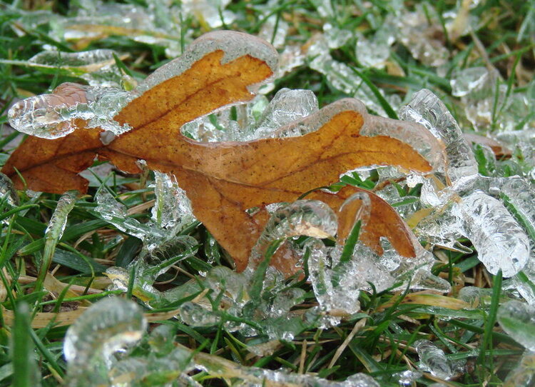 My view of Missouri Ice storm