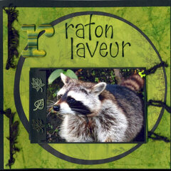 R comme raton laveur (R as in racoon)
