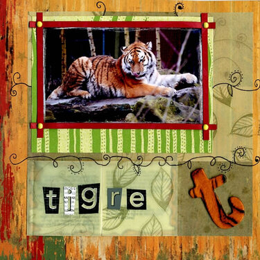 T comme tigre (T as in tiger)
