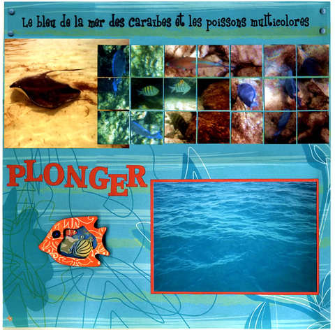 Plonger (Dive)