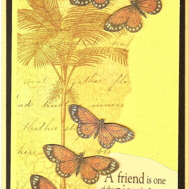 Friend Butterflys