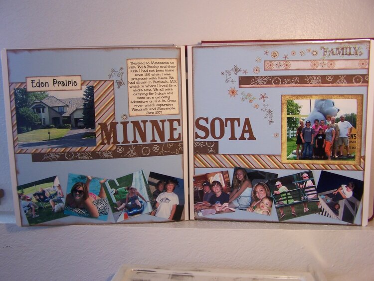 Minnesota 2007