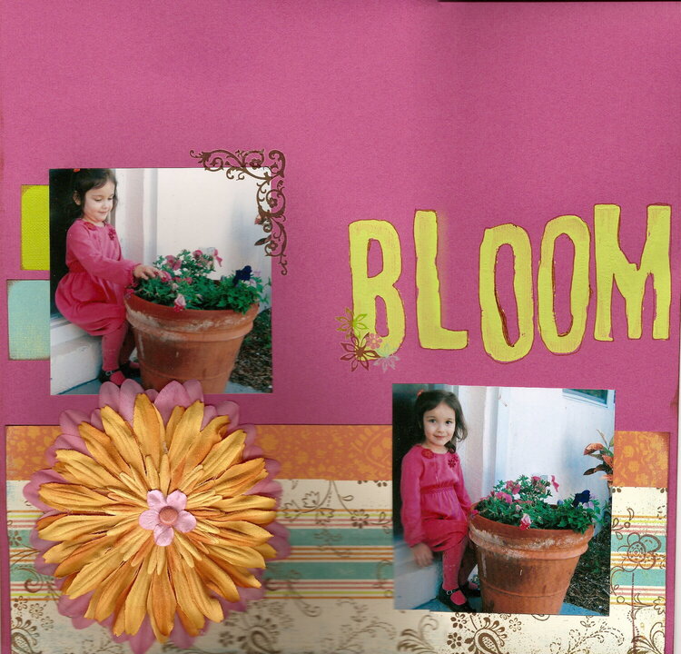 Bloom