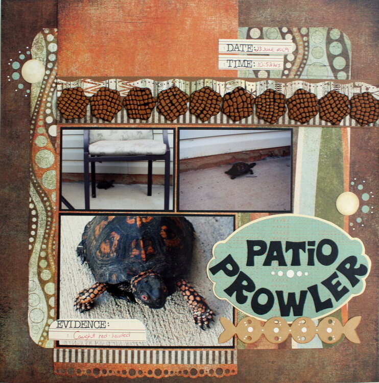 Patio Prowler