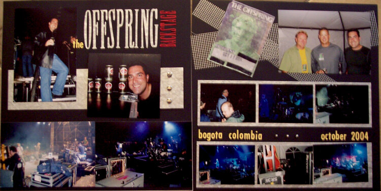 The Offspring backstage