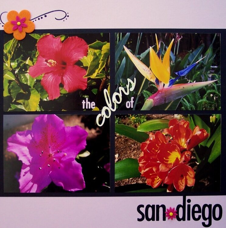 the colors of San Diego