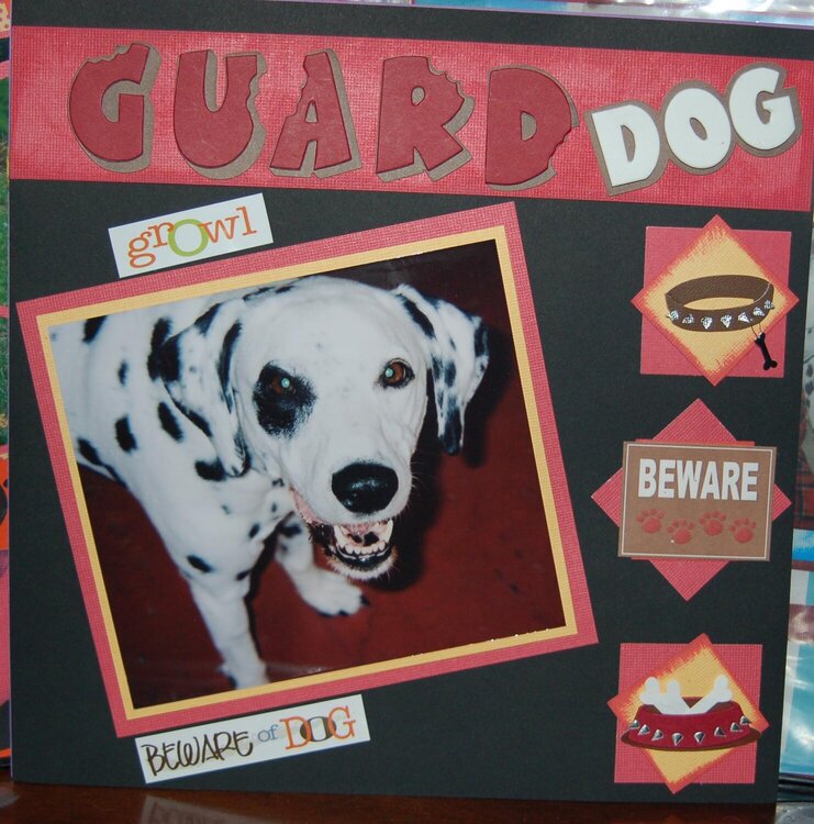 Apache 12_Guard Dog