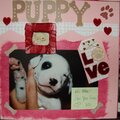 Apache 3_Puppy Love