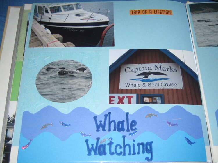 Whale Watching-Nova Scotia