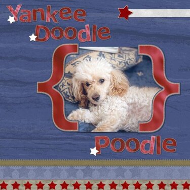 Yankee Doodle Poodle